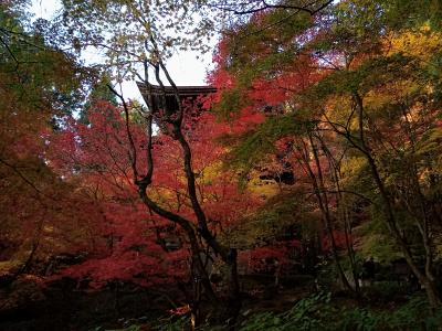 関西２０２１秋旅行記　【４】金剛輪寺２