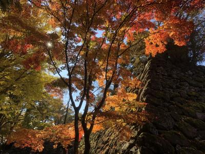 小諸の紅葉と鉄印の旅（15しなの鉄道）