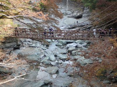 四国～神戸まで③：11/15 徳島　大歩危と祖谷