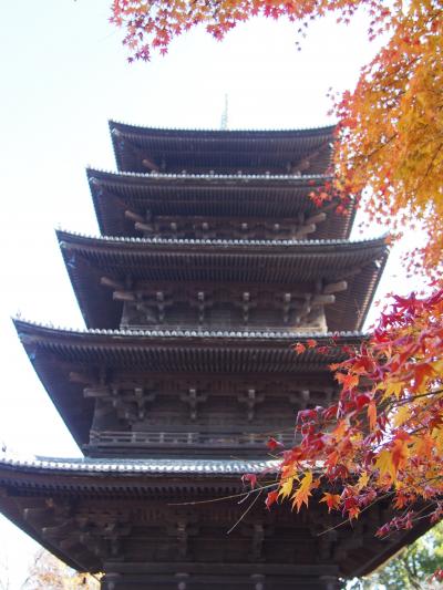 京都・散り紅葉と南座と鯖寿司③