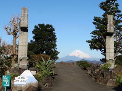 冬の伊豆レッサーパンダ遠征2021（３）植物や風景や両生類爬虫類など伊豆シャボテン動物公園と熱川バナナワニ園いろいろ＆レッサーパンダについて