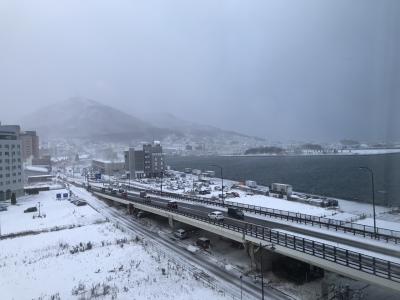 何しに来たのかo(｀ω´ )o　冬の函館2泊3日　