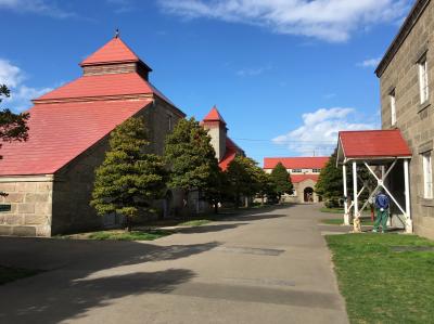 ひとり旅2回目:北海道 Day1~3 マイルで行った初めての旅行