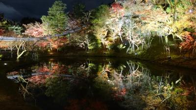 「京都人の密かな愉しみ」ロケ地巡り．６　高台寺の紅葉ライトアップ