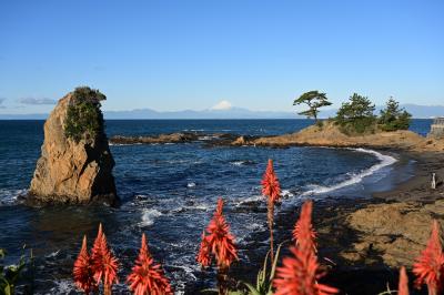 秋谷立石～湘南海岸　初冬の朝