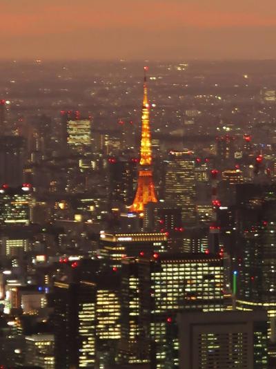 TOKYO SKYTREE /暮-6　天望回廊　最高到達点-451.2m＊夜景　☆〈天空への願い〉込めて