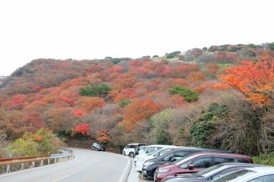 九重連山　法華院温泉山荘泊での紅葉登山②