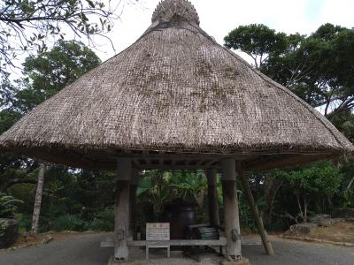 2021年12月初 奄美大島②