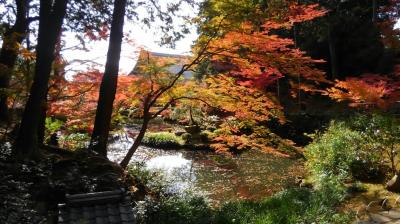 吉田山の南麓に分け入り紅葉狩る