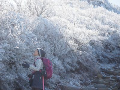 【百名山】韓国岳（霧氷シーズン）トラベルハイキング部一押し