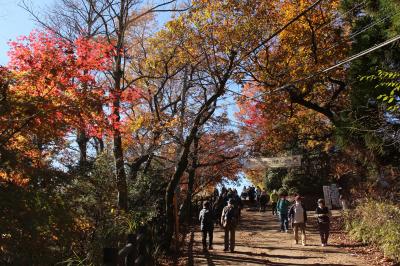 紅葉の高尾山へ行ってみました