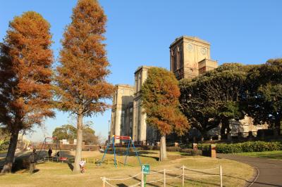 三渓園の紅葉と根岸森林公園に行ってみました