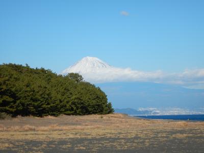 三度目の正直！年忘れにっぽん丸花火クルーズ（その２）