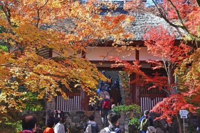 晩秋の京都紅葉巡り２０２１（１日目）ー嵯峨野・嵐山方面ー