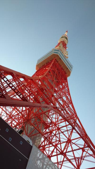 東京徳川ゆかりの御朱印巡り