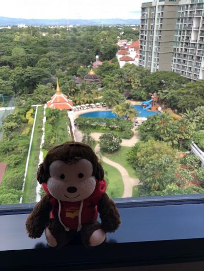 ピンチヒッターで急遽チェンマイ旅行