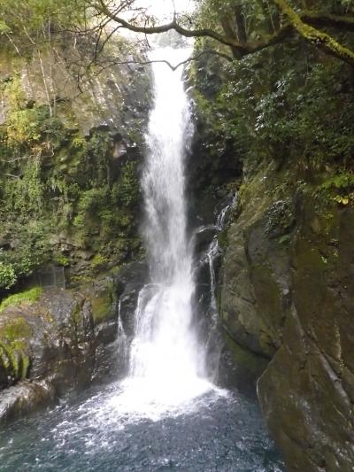 伊豆　温泉三昧　河津、峰温泉、熱川２泊３日の旅　Part.1