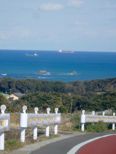 銚子電鉄、飯沼観音、３匹の猫と魚たっぷり夕ご飯_年末銚子旅その２