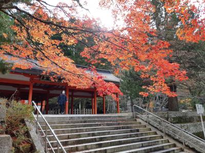 Peachで行く、紀州加太と高野山紅葉の旅【２日目】