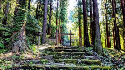 日光、奥会津そして会津若松の旅:08まったり東山温泉、そして東京経由で帰宅