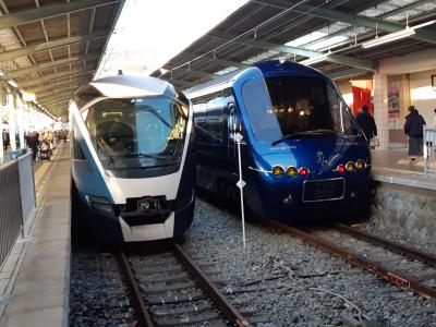 サフィール踊り子に乗って伊豆下田へ【1日目】