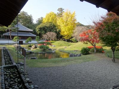 ぐるっと足利(中編)：鑁阿寺、足利学校