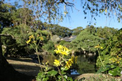 晩秋の伊豆長岡温泉旅♪　Vol.10 ☆伊豆長岡温泉「三養荘」：美しい日本庭園♪