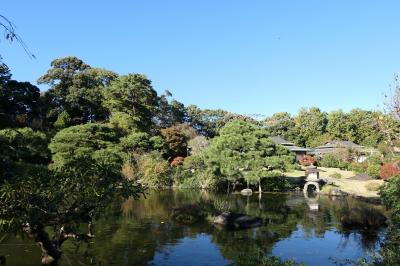 晩秋の伊豆長岡温泉旅♪　Vol.14 ☆伊豆長岡温泉「三養荘」：美しい日本庭園♪