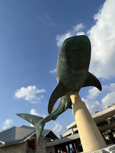 美ら海水族館　ハートロック