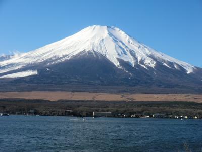 伊豆ワイナリーヒルに泊まって富士山を楽しむたび