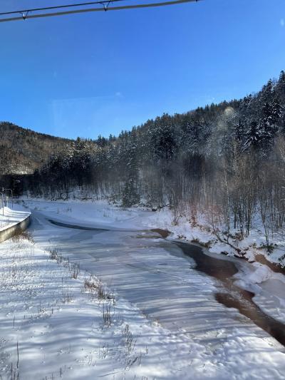 HOKKAIDO LOVE!6日間周遊パスで冬の北海道旅行　2日目　函館→釧路