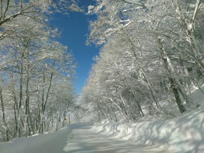 志賀高原スキー♪ 雪山脱出 2021