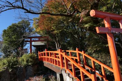 晩秋の伊豆長岡温泉旅♪　Vol.42 ☆伊豆の国パノラマパーク：絶景の富士山と駿河湾♪