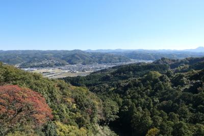 晩秋の伊豆長岡温泉旅♪　Vol.45 ☆伊豆の国パノラマパーク：絶景の富士山と駿河湾♪