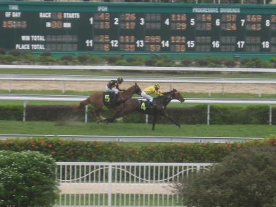 2018 イポーのペラ競馬場でサクッと競馬を楽しんできました！
