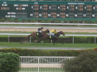 2018 イポーのペラ競馬場でサクッと競馬を楽しんできました！