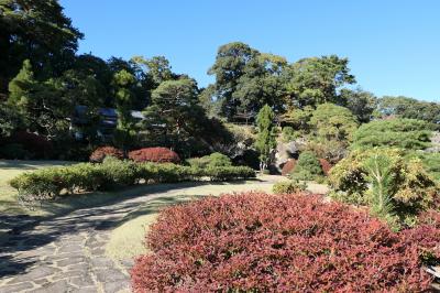 晩秋の伊豆長岡温泉旅♪　Vol.57 ☆伊豆長岡温泉「三養荘」：美しい日本庭園♪