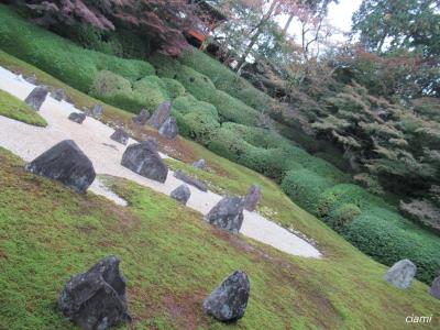 国宝で雨宿り　202011紅葉の京都と鹿の奈良④