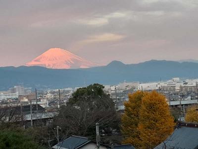 22年幕開けと箱根駅伝と富士山　