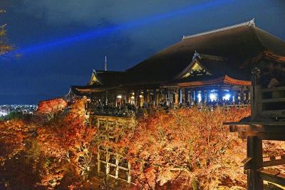 晩秋の京都紅葉巡り２０２１（２日目）ー平等院・醍醐寺・清水寺ー