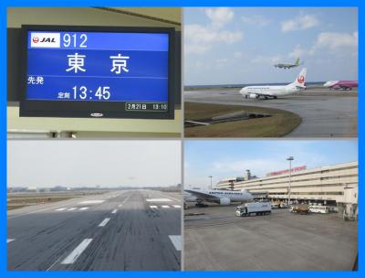 沖縄離島巡り2015（１８終）ＪＡＬ空旅　那覇から羽田へ