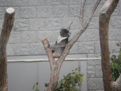 グランドニッコー淡路に泊まって、イングランドの丘ヘ(その2)