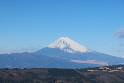 令和4年のお正月も例によって伊豆