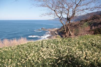 越前海岸ドライブと永平寺