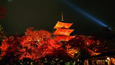 2021年紅葉 伏見稲荷経由で京都清水寺