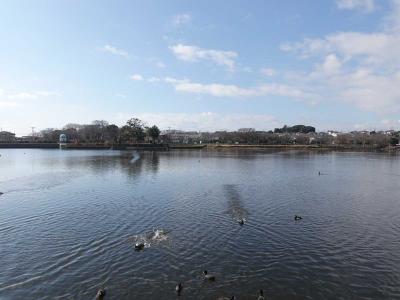 三島市までポタリング=(1回目・自宅～門池公園)=2021.12.25