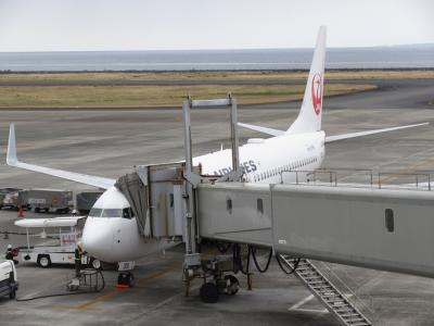 どこかにマイルで行く奄美大島の旅