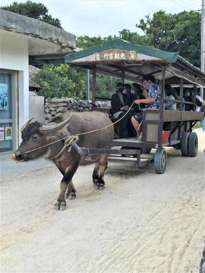 年末年始の石垣島へ３泊４日で三世代旅行に出かけた。主目的は体験ダイビングだったのだが（三、四日目）