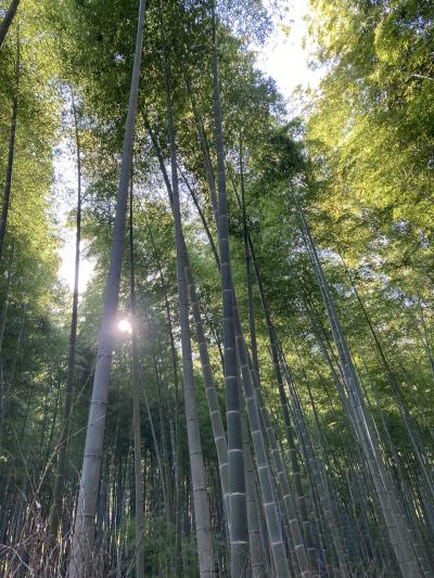 大阪京都旅行2021年11月4泊5日その4