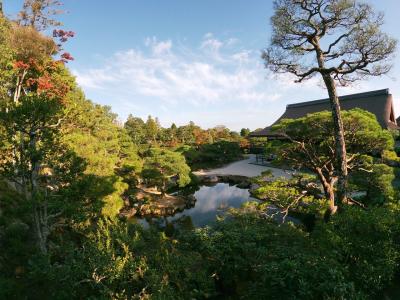 京都・奈良を巡る旅　京都編